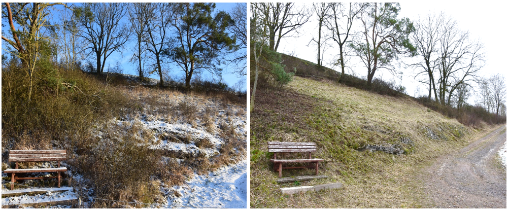 Die Fläche "Aufm Springelsberge" östlich von Ober-Werbe ist seit Jahrzehnten brachgefallen.