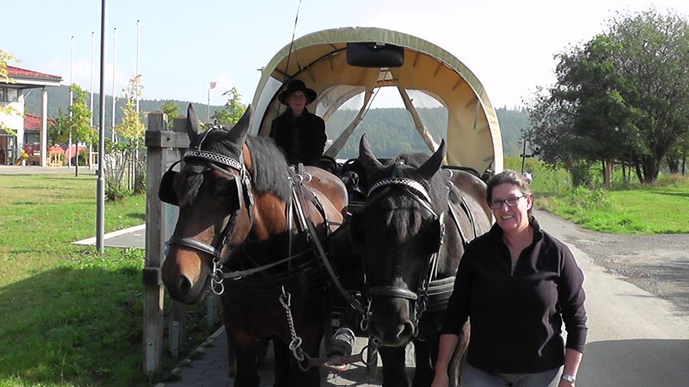 Unterwegs in der Archeregion mit Kutscherin Sabine Trachte (auf dem Kutschbock) und Stephanie Schmidt(vorne). Gezogen wurde Planwagen von Wallach Hardy(links9 und Stute Dolly. Foto:EDR/od